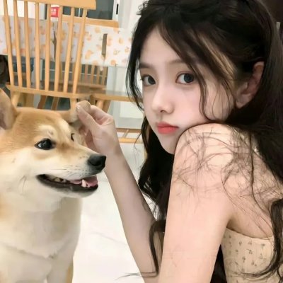 疯狂的狮王